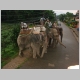 21. deze olifanten wachten op hun gasten om op safari te vertrekken.JPG